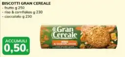 Basko Biscotti gran cereale frutta, riso & cornflakes e cioccolato offerta