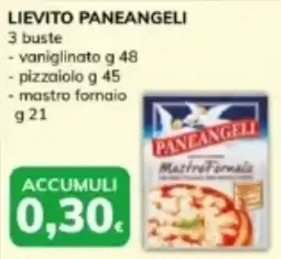 Basko Lievito paneangeli 3 buste offerta