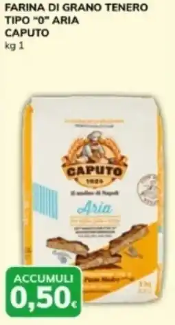 Basko Farina di grano tenero tipo "o" aria CAPUTO offerta