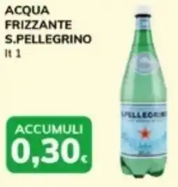 Basko Acqua frizzante S.PELLEGRINO offerta
