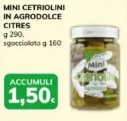 Basko Mini cetriolini in agrodolce citres offerta