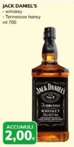 Basko Jack daniel's whiskey e tennessee honey offerta