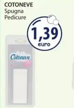 Acqua & Sapone COTONEVE Spugna Pedicure offerta