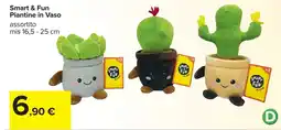 Carrefour Smart & Fun Piantine in Vaso offerta
