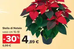Carrefour Stella di Natale offerta