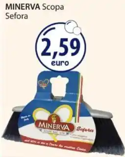 Acqua & Sapone MINERVA Scopa Sefora offerta