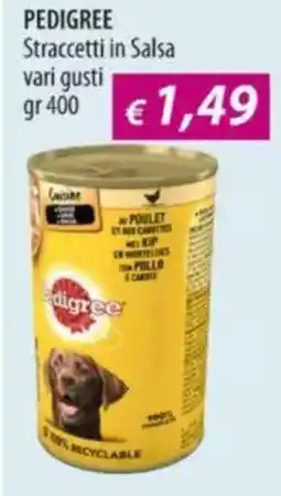 Acqua & Sapone PEDIGREE Straccetti in Salsa offerta