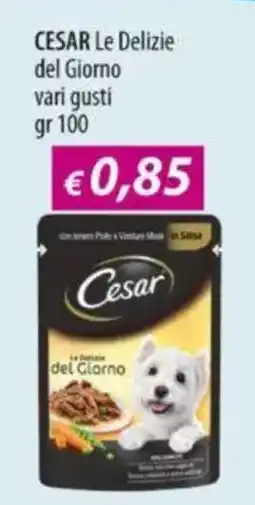 Acqua & Sapone CESAR Le Delizie del Giorno offerta