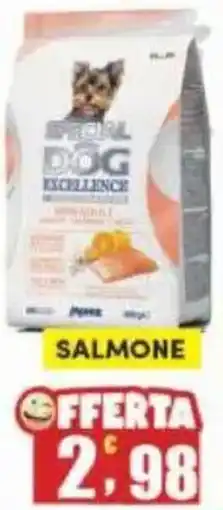 Maury's Monge Special Dog excellence crocchette mini Salmone offerta