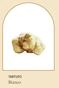 Prezzemolo e Vitale TARTUFO Bianco offerta