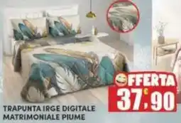 Maury's Trapunta irge digitale matrimoniale piume offerta