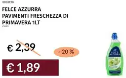 Prezzemolo e Vitale Felce azzurra pavimenti freschezza di primavera offerta