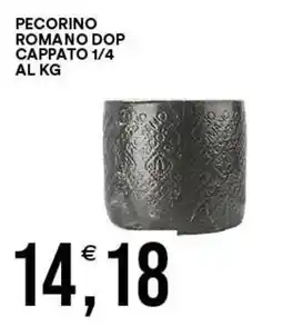 Vantaggio Cash&Carry Pecorino romano dop cappato 1/4 offerta