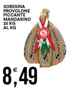 Vantaggio Cash&Carry Soresina provolone piccante mandarino offerta
