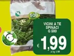 Iper Triscount Vicini a te spinaci offerta