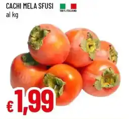 Galassia Cachi mela sfusi offerta