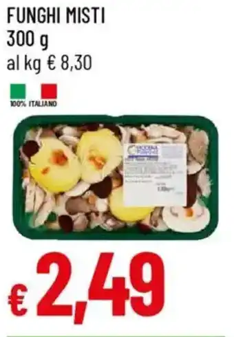 Galassia Funghi misti offerta