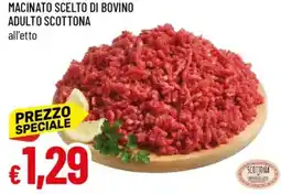 Galassia Macinato scelto di bovino adulto scottona offerta