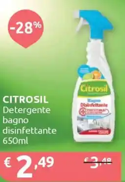 Ipersoap CITROSIL Detergente bagno disinfettante offerta
