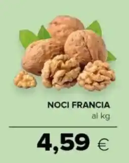 Oasi Noci francia offerta