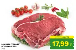 Oasi Lombata con osso bovino adulto offerta