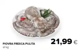 Oasi Piovra fresca pulita offerta