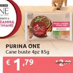 Ipersoap PURINA ONE Cane buste 4pz offerta