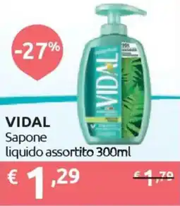 Ipersoap VIDAL Sapone liquido offerta