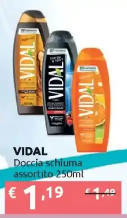 Ipersoap VIDAL Doccia schiuma offerta