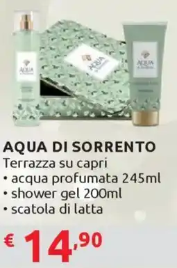 Ipersoap AQUA DI SORRENTO Terrazza su capri offerta