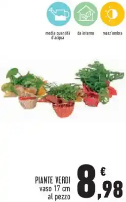 Conad Piante verdi offerta