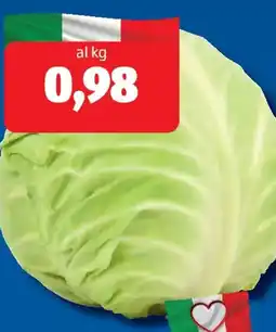 ALDI I colori del sapore cavolo cappuccio offerta