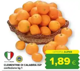 Tigre Clementine di calabria igp offerta