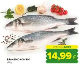 Tigre Branzino 600/800 offerta