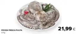 Tigre Piovra fresca pulita offerta