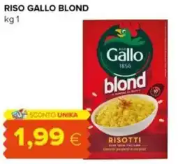 Tigre Riso gallo blond offerta