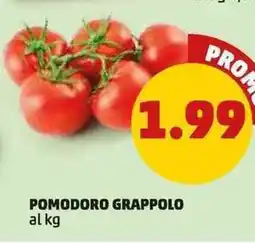 PENNY Pomodoro grappolo offerta