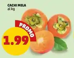 PENNY Cachi mela offerta