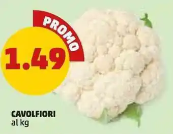 PENNY Cavolfiori offerta
