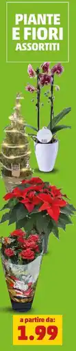 PENNY Piante e fiori offerta