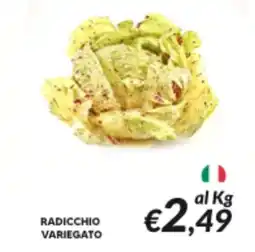 Supermercati Visotto Radicchio variegato offerta