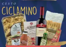 Supermercati Visotto Cesto ciclamino offerta