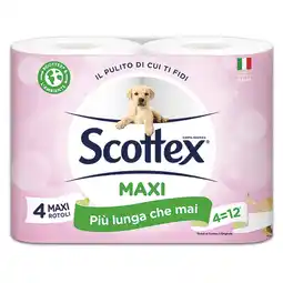 Deco Supermercati SCOTTEX offerta