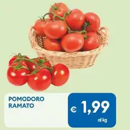 MD Discount Pomodoro ramato offerta
