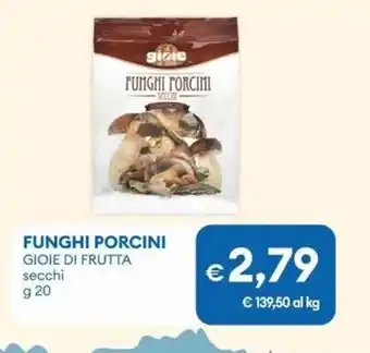 Funghi porcini GIOIE DI FRUTTA