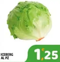 Premium Supermercati Iceberg offerta