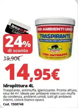 Brico Io Idropittura offerta