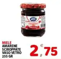 Premium Supermercati Miele amarene sciroppate vaso vetro offerta