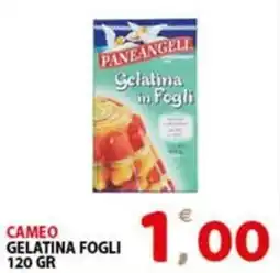 Premium Supermercati Cameo gelatina fogli offerta