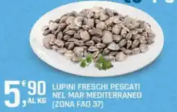 Supermercati Dok Lupini freschi pescati offerta